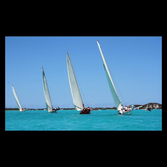 Meet your Posher, Amy - Picture 5 of 8